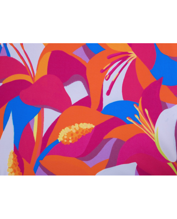 Top Antelope Tri-Fixo