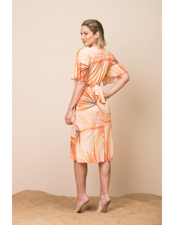 Borboleta Caliandra 2