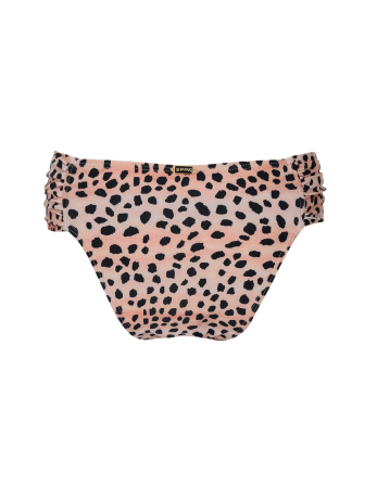 Bottom Media No Guepardo 2