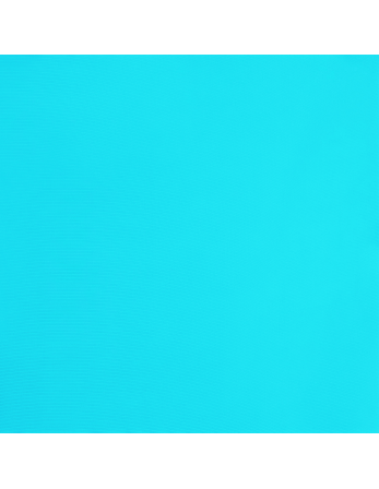 Top Miami Bandeau-Crispy 2