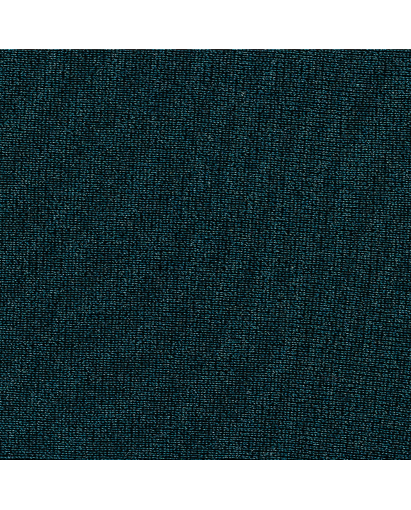 Bottom Shark Invisible