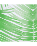 Bottom Palms Mia