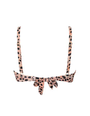 Top Media No Guepardo 2