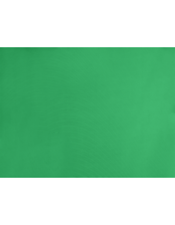 Tambourine Rash-Guard 2