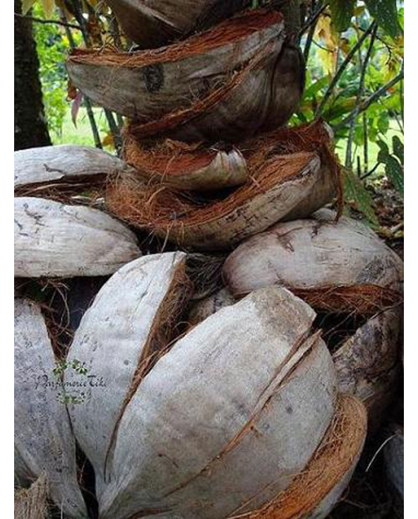 Traditional Tahitian Monoi With Flower, 100%...