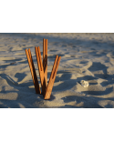 Beach Sticks