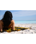 Beach Sticks