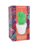 Small Cactus In A Flowerpot Shape Candle - Round Cactus Candle Small