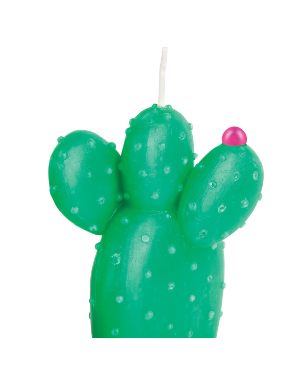 Small Cactus In A Flowerpot Shape Candle -...