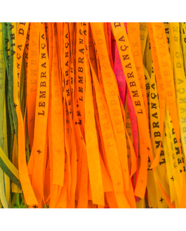 Lot Of 10 Bonfim - Laranja-Citrico