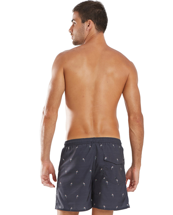 Short Vanguarda