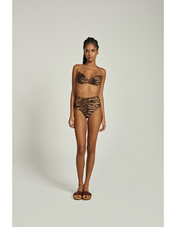 Bikini Te Hot Lu Tiger 2