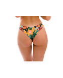 Bottom Lis Nice