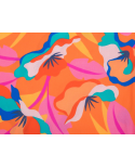 Bottom Orange-Bloom Nice