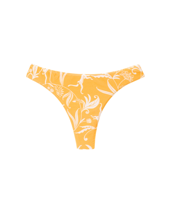 mkp