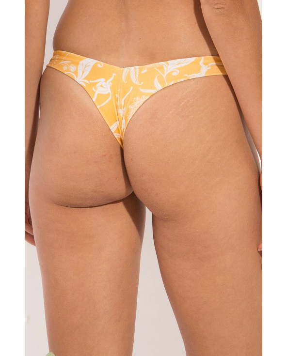 Bottom Sunny-Forest Nice-Fio
