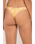 Bottom Sunny-Forest Nice-Fio