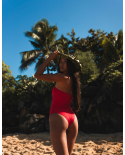 Hibiscus Aloha
