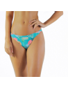 Bottom Slip Solar