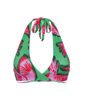 Top Parrots Kate