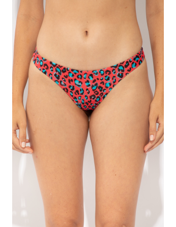 Bottom Coral-Feline Nice