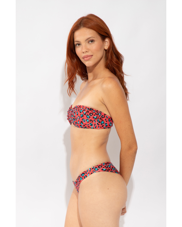 Bottom Coral-Feline Nice